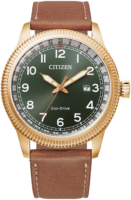 Citizen Eco Drive 180 Miesten kello BM7483-15X Vihreä/Nahka Ø43 mm