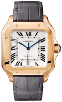 Cartier Santos De Cartier Miesten kello WGSA0011 Valkoinen/Nahka