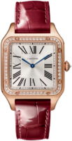 Cartier Naisten kello WJSA0016 Santos Dumont Hopea/Nahka