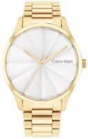 Calvin Klein 25200232 Classic Hopea/Kullansävytetty teräs Ø40 mm