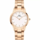 Iconic Link Rose 32 mm DW00100211